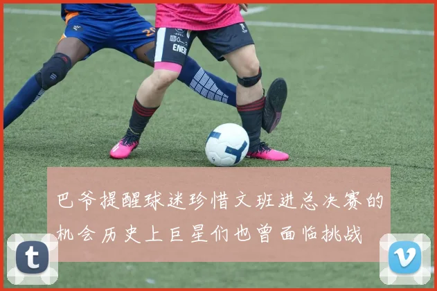 巴爷提醒球迷珍惜文班进总决赛的机会历史上巨星们也曾面临挑战